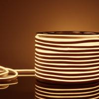 Гибкий неон Elektrostandard 9,6W/m 120LED/m 2835SMD теплый белый 50M