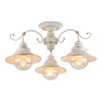 Потолочная люстра Torri OML-50807-03