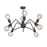 Потолочная люстра Vitaluce V4897-1/8PL