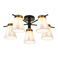 Потолочная люстра Escada Ambient ES0000055