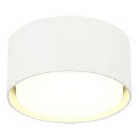 Накладной светильник ST Luce ST164.502.01