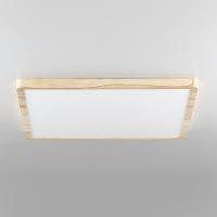 Потолочный светильник Citilux Бейсик CL738K502V