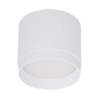 Накладной светильник Reluce 53007-9.5-001LD GX53 WT