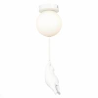 Потолочный светильник Evoluce Modena SLE115402-01