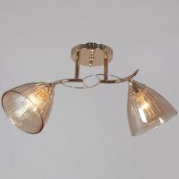 Потолочный светильник Reluce 02560-0.3-02 FG