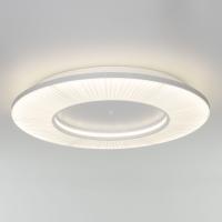 Потолочный светильник Eurosvet Kreis 101003 LED белый a071495