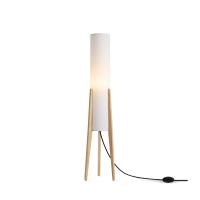 Торшер Freya Bliss FR5543FL-01T