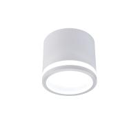 Накладной светильник Favourite Festum 4213-1C