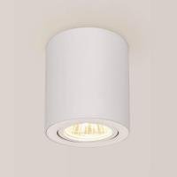Потолочный светильник Citilux Дюрен CL538111