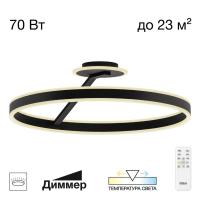 Потолочная люстра Citilux Дуэт CL719761