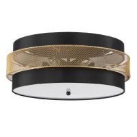 Потолочный светильник Lumion Animaisa 8003/6C