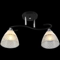 Люстра на штанге Reluce 11391-0.3-02B BK+CR