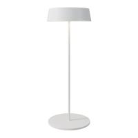 Уличный переносной аккумуляторный светильник Maytoni Porto O540TL-L2WCCT