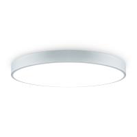 Потолочный светильник Freya Sprida FR6129CL-L80GR