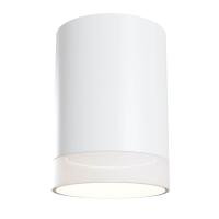 Потолочный светильник Maytoni Pauline C008CW-01W