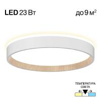 Потолочный светильник Citilux Etalon CL750240