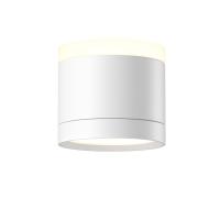 Потолочный светильник Maytoni Technical Pauline C120CL-GX53-W
