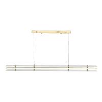 Подвесная люстра ST Luce Fagy SL6245.223.01