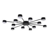 Потолочная люстра Lumion Comfi Torina 8344/12C