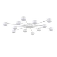 Потолочная люстра Lumion Comfi Torina 8343/12C