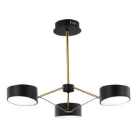 Потолочный светильник Evoluce Valle SLE6005-402-03