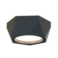 Уличный потолочный светильник Favourite Fantum 4670-1U