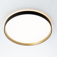 Потолочный светильник Citilux Etalon CL750401R