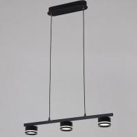 Подвесной светильник Reluce 79490-0.4-03 Black