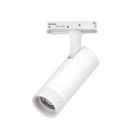 Трековый светильник для однофазного/трехфазного шинопровода Barra 20-55G с тонким адаптером Lightstar Canno Pro C4126SS