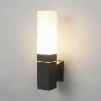 Уличный настенный светильник Elektrostandard 1534 TECHNO LED 3000K чёрный a072067