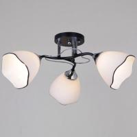 Потолочный светильник Reluce 79360-0.3-03 BK+CR