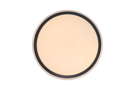 Потолочный светильник Zortes Bella ZRS.1201.11