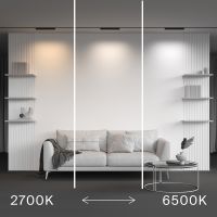 Трековый магнитный светильник Maytoni Technical Points RadityTR082-4-18WTW-M-B