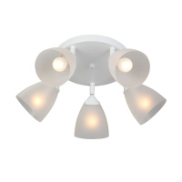 Спот Vitaluce V4355-0/5PL