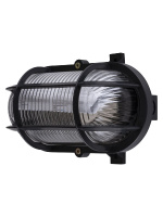 Настенно-потолочный светильник TDM Electric Евро НБП 02-60-004.03У SQ0312-0002