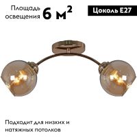 Потолочная люстра Reluce 01538-0.3-02 FGD