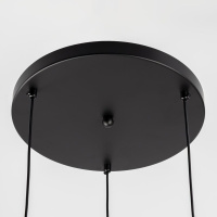 Подвесной светильник Citilux Orton CL202133