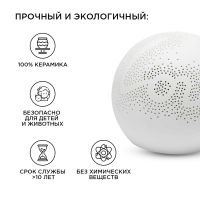 Настольная лампа Apeyron 12-077