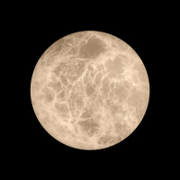 Настенный светильник Loft IT Emi 10414W/S