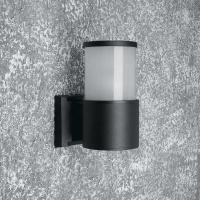 Уличный настенный светильник Feron Сиэтл DH0904 11656