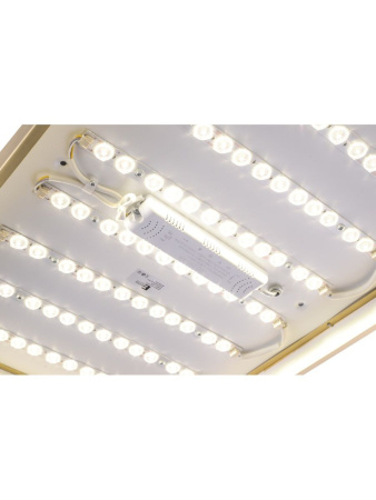 Потолочный светильник Zortes Monna ZRS.1209.09