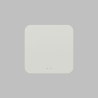 Конвертер WiFi-Zigbee/BLE для умного дома Denkirs Zigbee Control DK7402-WF