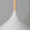 Подвесной светильник Arte Lamp Kayla A7101SP-1WH