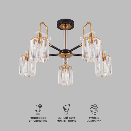 Потолочная люстра Eurosvet Tenia 70090/5 черный Smart