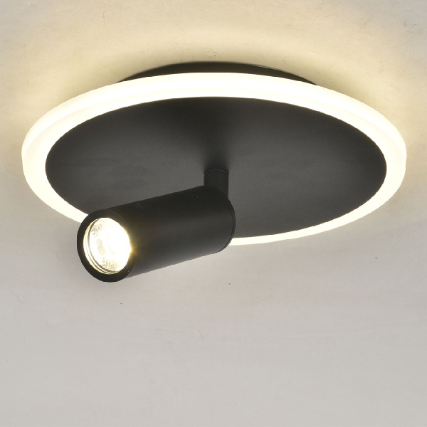 Настенно-потолочный светильник Escada 20046SMA/01LED BK