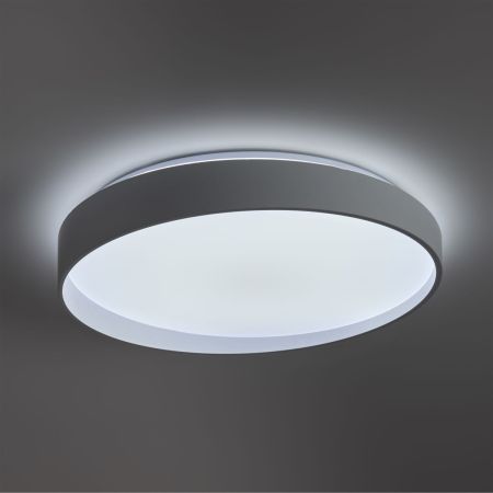 Потолочный светильник Freya Pass FR6222CL-L84W