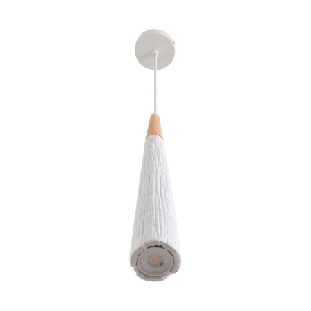 Подвесной светильник Lumion Suspentioni Eoliana 8352/1C