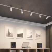 Трековый однофазный трехжильный светильник Novotech Port Selene 359912