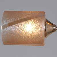 Потолочный светильник Reluce 51460-0.3-02 FG