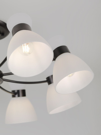 Люстра на штанге Rivoli Aemilia 9185-308 Б0069950